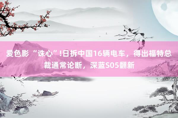爱色影 “诛心”!日拆中国16辆电车，得出福特总裁通常论断，深蓝S05翻新