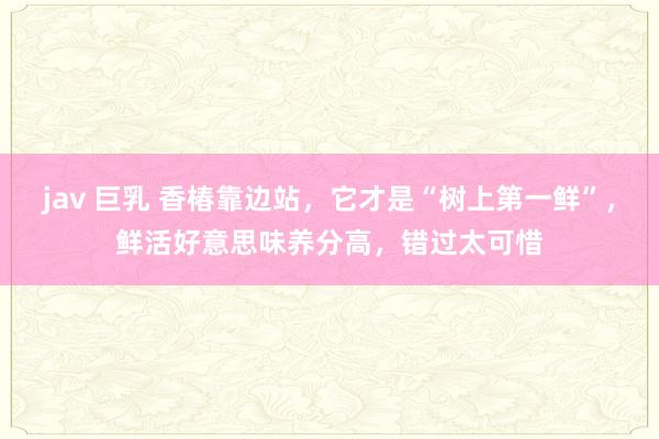 jav 巨乳 香椿靠边站，它才是“树上第一鲜”，鲜活好意思味养分高，错过太可惜