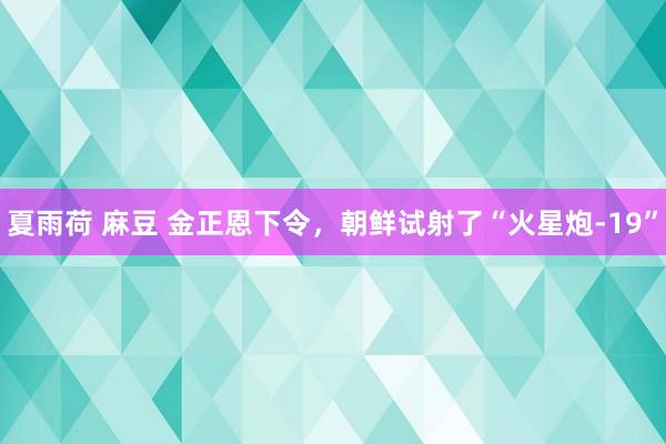 夏雨荷 麻豆 金正恩下令，朝鲜试射了“火星炮-19”