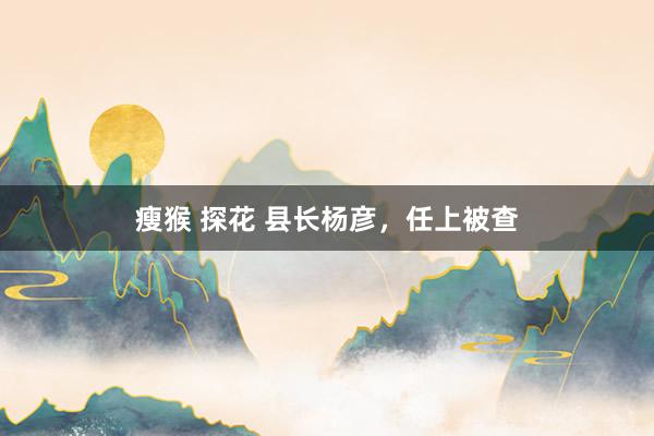 瘦猴 探花 县长杨彦，任上被查