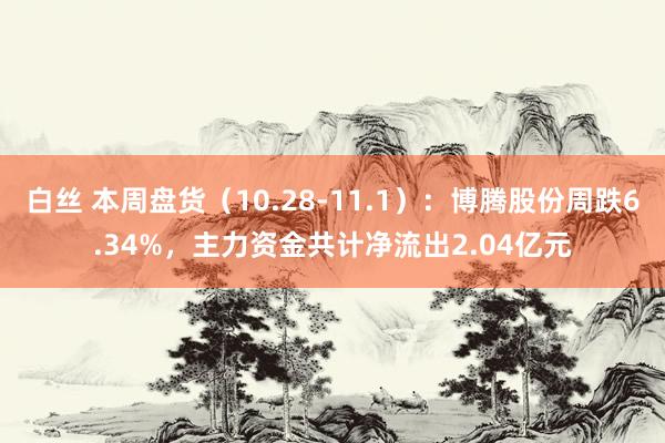 白丝 本周盘货（10.28-11.1）：博腾股份周跌6.34%，主力资金共计净流出2.04亿元
