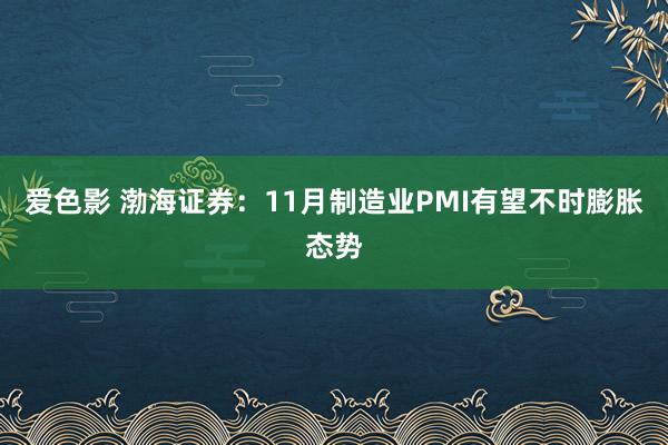 爱色影 渤海证券：11月制造业PMI有望不时膨胀态势