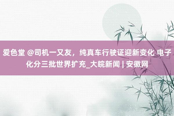 爱色堂 @司机一又友，纯真车行驶证迎新变化 电子化分三批世界扩充_大皖新闻 | 安徽网