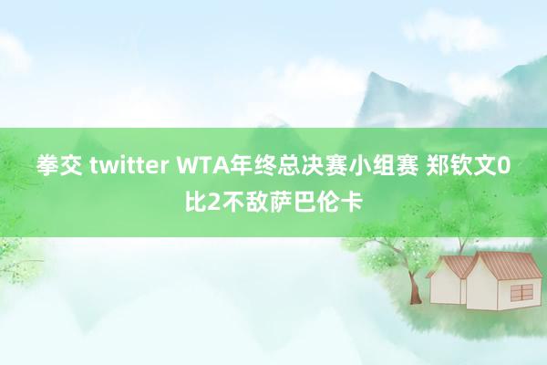 拳交 twitter WTA年终总决赛小组赛 郑钦文0比2不敌萨巴伦卡
