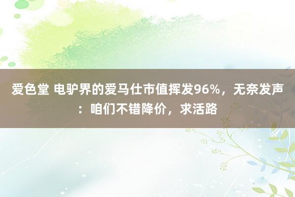 爱色堂 电驴界的爱马仕市值挥发96%，无奈发声：咱们不错降价，求活路