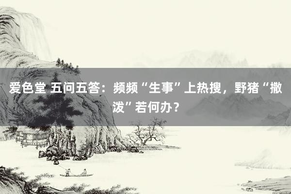 爱色堂 五问五答：频频“生事”上热搜，野猪“撒泼”若何办？