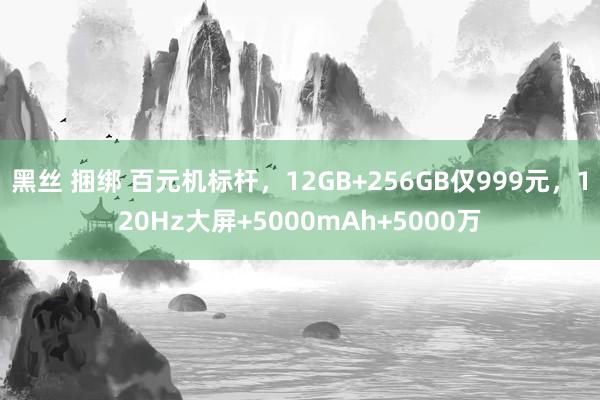 黑丝 捆绑 百元机标杆，12GB+256GB仅999元，120Hz大屏+5000mAh+5000万