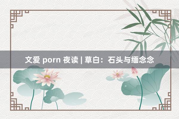 文爱 porn 夜读 | 草白：石头与缅念念