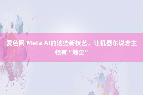 爱色网 Meta AI的这些新技艺，让机器东说念主领有“触觉”