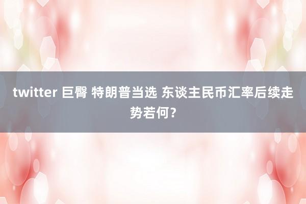twitter 巨臀 特朗普当选 东谈主民币汇率后续走势若何？