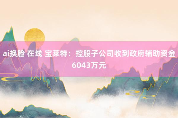 ai换脸 在线 宝莱特：控股子公司收到政府辅助资金6043万元