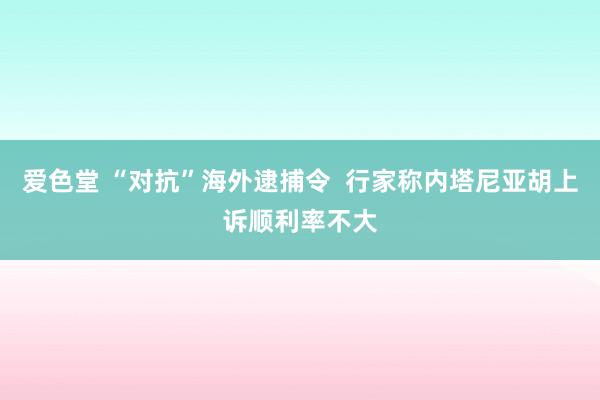 爱色堂 “对抗”海外逮捕令  行家称内塔尼亚胡上诉顺利率不大