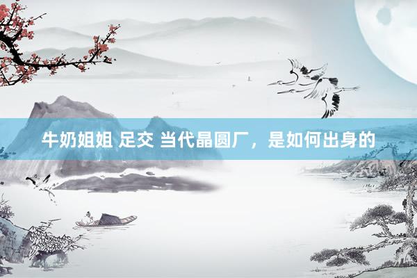 牛奶姐姐 足交 当代晶圆厂，是如何出身的