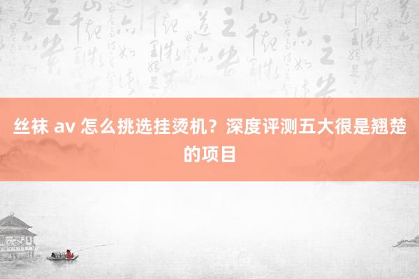 丝袜 av 怎么挑选挂烫机？深度评测五大很是翘楚的项目