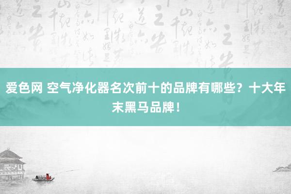 爱色网 空气净化器名次前十的品牌有哪些？十大年末黑马品牌！
