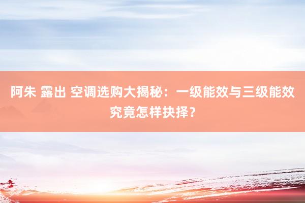 阿朱 露出 空调选购大揭秘：一级能效与三级能效究竟怎样抉择？