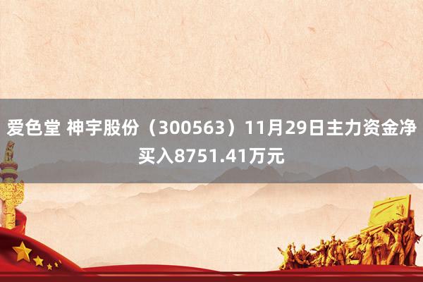爱色堂 神宇股份（300563）11月29日主力资金净买入8751.41万元