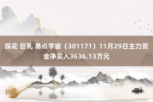 探花 巨乳 易点宇宙（301171）11月29日主力资金净买入3636.13万元