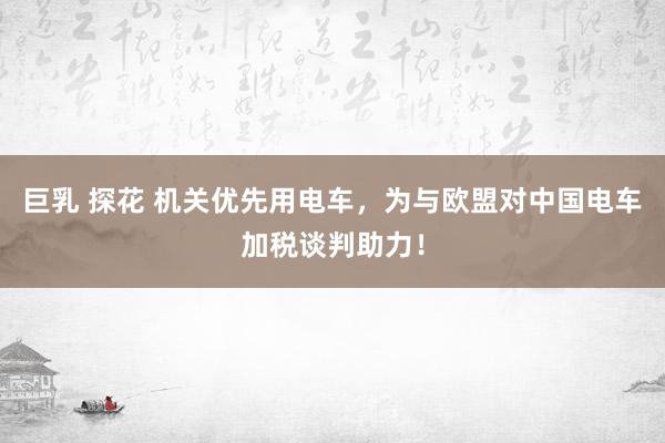 巨乳 探花 机关优先用电车，为与欧盟对中国电车加税谈判助力！