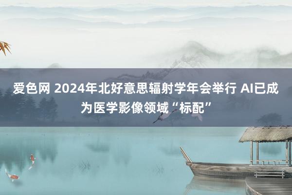 爱色网 2024年北好意思辐射学年会举行 AI已成为医学影像领域“标配”