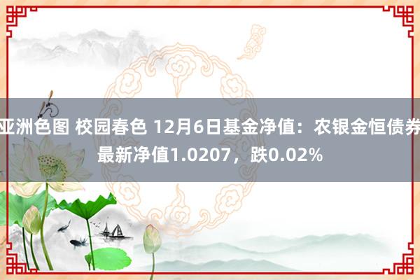 亚洲色图 校园春色 12月6日基金净值：农银金恒债券最新净值1.0207，跌0.02%