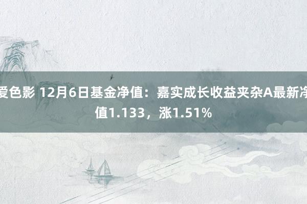 爱色影 12月6日基金净值：嘉实成长收益夹杂A最新净值1.133，涨1.51%