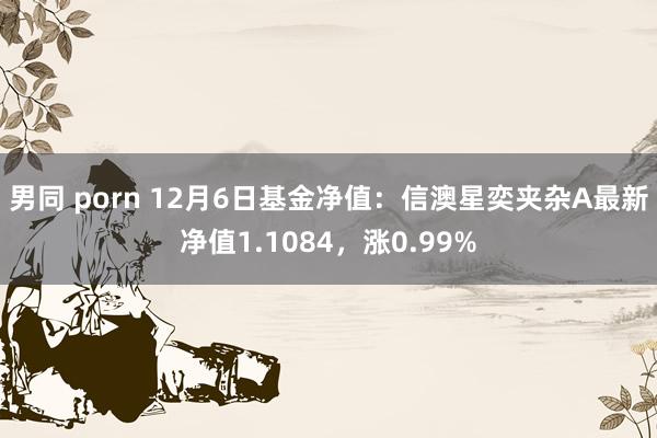男同 porn 12月6日基金净值：信澳星奕夹杂A最新净值1.1084，涨0.99%