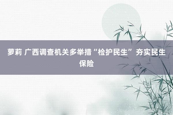 萝莉 广西调查机关多举措“检护民生” 夯实民生保险