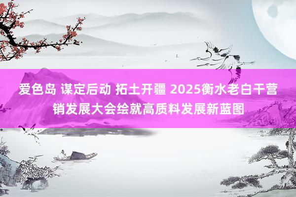 爱色岛 谋定后动 拓土开疆 2025衡水老白干营销发展大会绘就高质料发展新蓝图