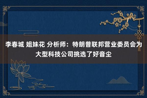 李春城 姐妹花 分析师：特朗普联邦营业委员会为大型科技公司挑选了好音尘