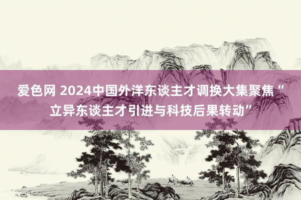 爱色网 2024中国外洋东谈主才调换大集聚焦“立异东谈主才引进与科技后果转动”