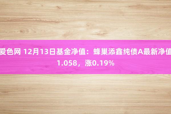 爱色网 12月13日基金净值：蜂巢添鑫纯债A最新净值1.058，涨0.19%