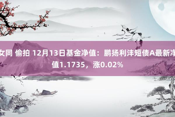 女同 偷拍 12月13日基金净值：鹏扬利沣短债A最新净值1.1735，涨0.02%