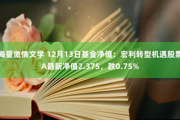 海量激情文学 12月13日基金净值：宏利转型机遇股票A最新净值2.375，跌0.75%