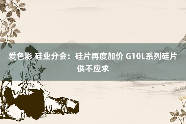爱色影 硅业分会：硅片再度加价 G10L系列硅片供不应求