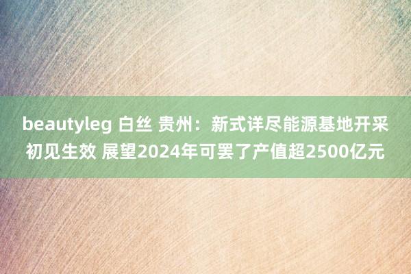 beautyleg 白丝 贵州：新式详尽能源基地开采初见生效 展望2024年可罢了产值超2500亿元
