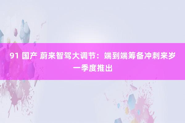 91 国产 蔚来智驾大调节：端到端筹备冲刺来岁一季度推出