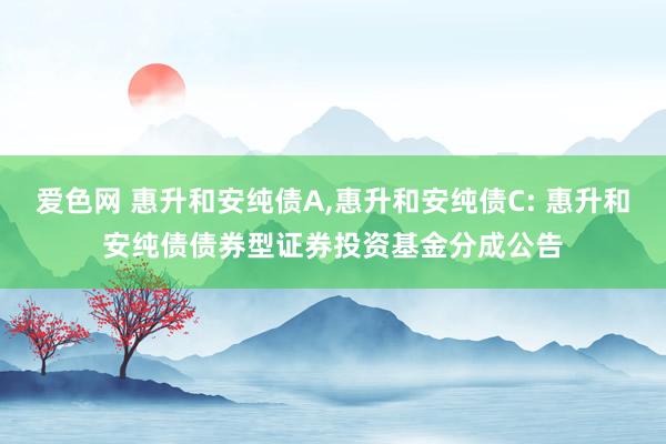 爱色网 惠升和安纯债A,惠升和安纯债C: 惠升和安纯债债券型证券投资基金分成公告