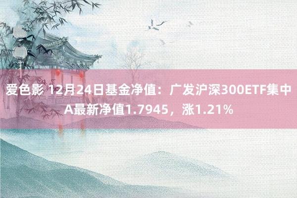 爱色影 12月24日基金净值：广发沪深300ETF集中A最新净值1.7945，涨1.21%