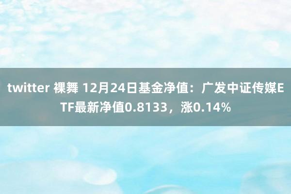twitter 裸舞 12月24日基金净值：广发中证传媒ETF最新净值0.8133，涨0.14%