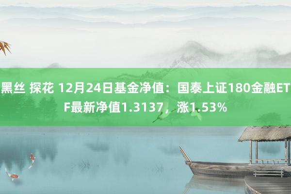 黑丝 探花 12月24日基金净值：国泰上证180金融ETF最新净值1.3137，涨1.53%