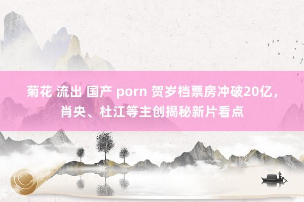 菊花 流出 国产 porn 贺岁档票房冲破20亿，肖央、杜江等主创揭秘新片看点