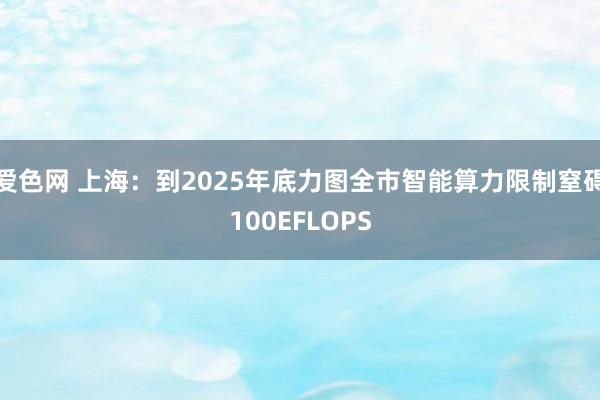 爱色网 上海：到2025年底力图全市智能算力限制窒碍100EFLOPS