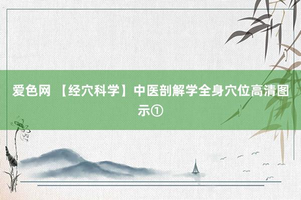 爱色网 【经穴科学】中医剖解学全身穴位高清图示①