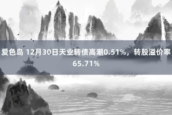 爱色岛 12月30日天业转债高潮0.51%,转股溢价率65.71%