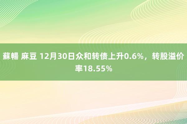 蘇暢 麻豆 12月30日众和转债上升0.6%，转股溢价率18.55%