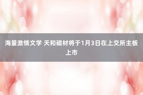 海量激情文学 天和磁材将于1月3日在上交所主板上市