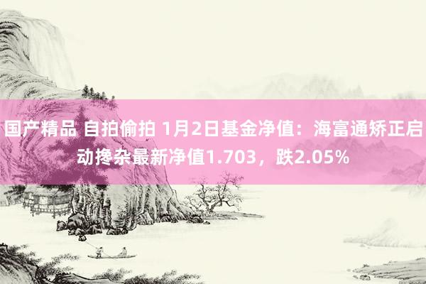 国产精品 自拍偷拍 1月2日基金净值：海富通矫正启动搀杂最新净值1.703，跌2.05%