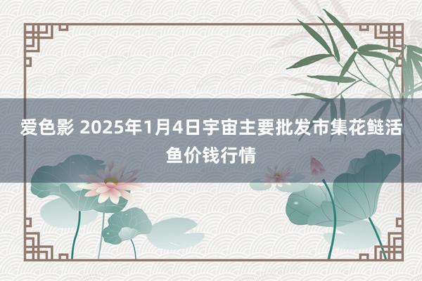 爱色影 2025年1月4日宇宙主要批发市集花鲢活鱼价钱行情