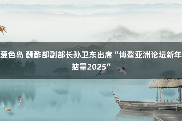爱色岛 酬酢部副部长孙卫东出席“博鳌亚洲论坛新年掂量2025”